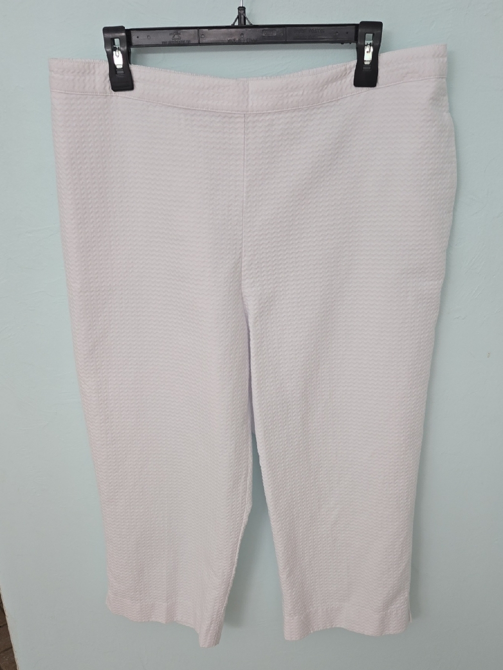 Alfred Dunner Pale Lavender Cropped Pull-On Pants